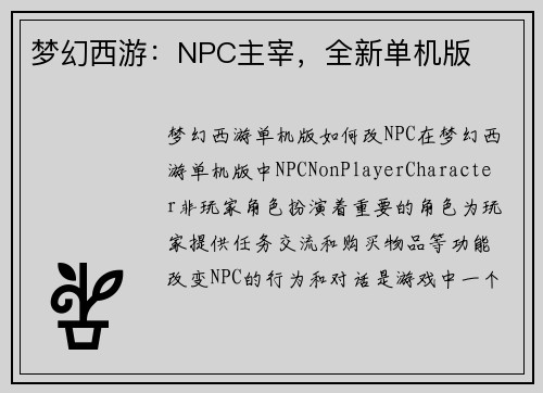 梦幻西游：NPC主宰，全新单机版