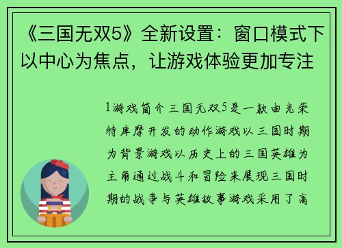 《三国无双5》全新设置：窗口模式下以中心为焦点，让游戏体验更加专注